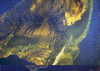 Hawaii.gif (647604 bytes)