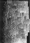 MERCCAL.JPG (173000 bytes)