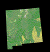 NEWMEXICO.GIF (268453 bytes)