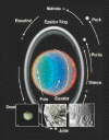 RINGS-MOONS2.GIF (183771 bytes)