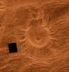 TICK-VOLCANO.GIF (130759 bytes)