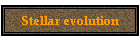Stellar evolution