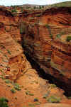 buckskin.jpg (62318 bytes)