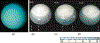 clouds.gif (34546 bytes)