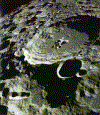 farside.gif (350848 bytes)