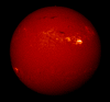 SUN-98-0830.GIF (101833 bytes)