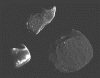 gaspraphobos.GIF (96251 bytes)