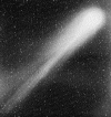 halray.gif (58161 bytes)