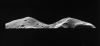 idaclose.gif (141110 bytes)