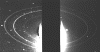 nepring.gif (91999 bytes)
