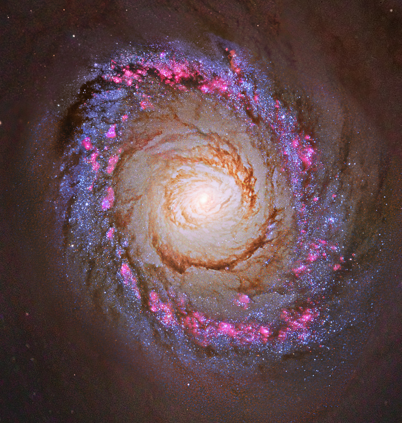 NGC 4736/M94