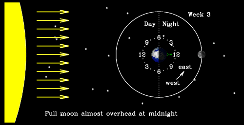 Time-lapse film showing the Earth from above the North Pole, rotating through its daily cycle with a 24-hour clockface attached to it. The light from the Sun is shown to arrive in roughly parallel rays from one direction. At any time half of the Earth is illuminated (day) and half is in shadow (night). The Moon is also shown, orbiting slowly around the Earth.