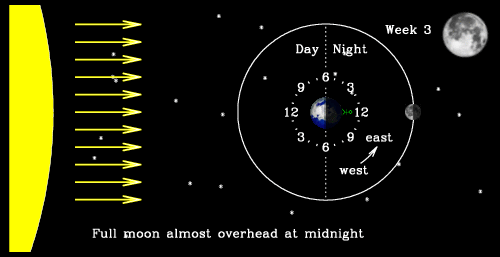 Time-lapse film showing the Earth from above the North Pole, rotating through its daily cycle with a 24-hour clockface attached to it. The light from the Sun is shown to arrive in roughly parallel rays from one direction. At any time half of the Earth is illuminated (day) and half is in shadow (night). The Moon is also shown, orbiting slowly around the Earth.
