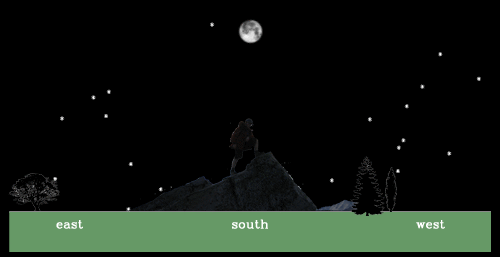 A view of the sky over the course of a lunar month. During the night the stars rise in the east and set in the west, as the Sun does during the day. The Moon moves similarly, but at a different speed. Sometimes it lies above the horizon with the stars (at night) and at other times it lies above the horizon with the Sun (during the day). As it shifts along this cycle the portion of its face which is illuminated varies.