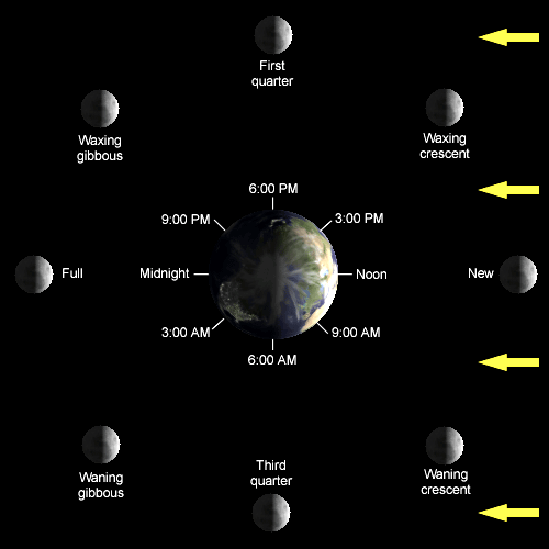 The Earth and eight models of the Moon showing its position along its orbit in its eight phases. The Earth and each model Moon are shown illuminated on the side facing towards the Sun. Labels indicate the time of day or night on Earth at which each model Moon would lie most directly overhead.