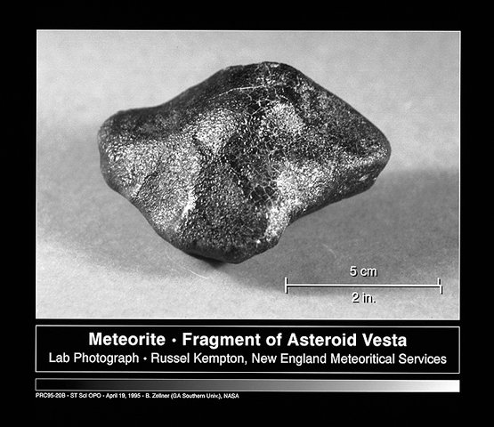 A recovered fragment of an asteroid, almost four inches across with a shiny, irregular and blobby surface.