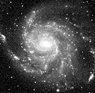 Black and white image of a face-on spiral galaxy. The background is black, and small white dots (stars) are scattered across the image. A large face-on spiral galaxy is centered in the middle. The central bulge of the galaxy is bright, and a handful of long arms made up of stars and gas wind around this central bulge.