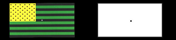 Image of a flag with alternating black and green horizontal stripes, with a yellow field dotted with black stars in the upper-left corner. To the right of this image is a second all-white image of the same size. After students with normal vision stare at the green and yellow flag for 45 seconds and then stare at the white image, they perceive it to show an American flag (with alternating red and white stripes and a blue field with white stars in the upper-left corner). This is because color receptors in the eye become fatigued when we stare at an image for a long time, and then when we look at a neutral surface we see the complimentary colors until the eye receptors rest and recover.