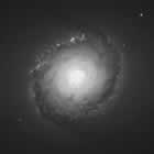 Black and white spiral galaxy image at orange   wavelengths, showing spiral arms and a central bulge.