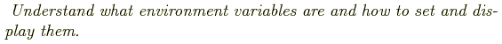\begin{shaded}
\textit{
Understand what environment variables are and how to set and display them.
}
\end{shaded}