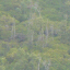 Flight to Hilo: Welcome to Hilo 2