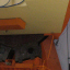 IRTF: Side View