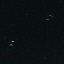 Stars: Grus and Friends
