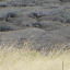Saddle Road: Lava Was Here