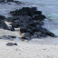 Kona: Ocean View 3