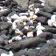 Kona: Ocean View 4