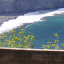 Waipio: Another View from the Top