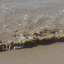 Hapuna: Beach View 2