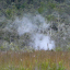 Volcano: Steam Vents