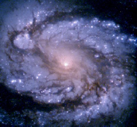 Image of M100, showing a gigantic fleecy blue-white disk rife with spiral structure, and a yellow central disk. It looks as though someone swept the floor and pushed a jumpy heap of dust bunnies onto the galaxy disk.