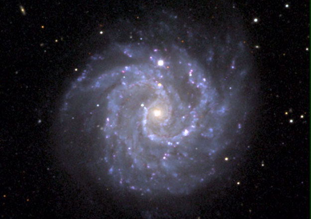 Image of face-on NGC 3184, showing clearly defined spiral arms with a multitude of bright violet regions and diffuse patchy gas, and a warm yellow central bulge.