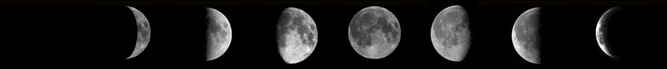Eight images of the Moon showing its illumination in its major phases.