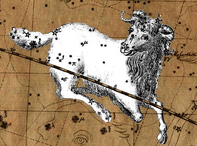 The constellation of Aries, a golden ram.