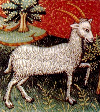 The constellation of Capricorn, a goat.