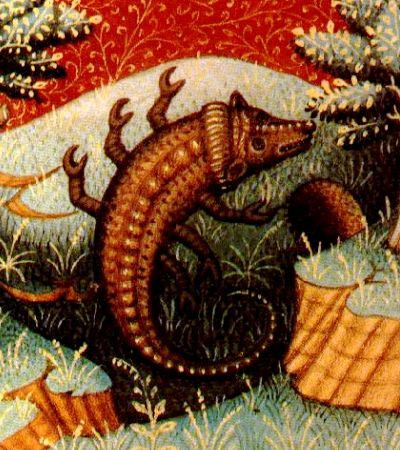 The constellation of Scorpio, a scorpion.