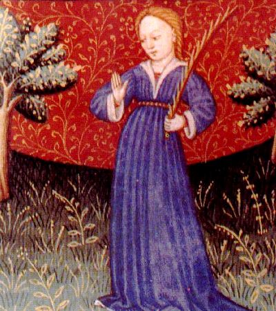 The constellation of Virgo, a maiden.
