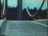The Tacoma Narrows Bridge exhibiting normal behavior, the metal and concrete structure flex slightly as vehicles drive over it.