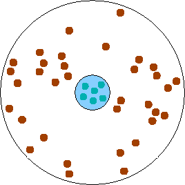 Rutherford's model of the atom, in which a small central nucleus contains all of the positive charge, and negative charges orbit around it on fixed paths (like the planets orbit the Sun) in a surrounding region which is mainly empty.