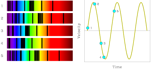 Two-part figure showing a set of five absorption spectra from a star taken in turn over a period of time (left) and a derived plot of stellar velocity as a function of time (right). The five numbered spectra are each shown as a long rectangle filled with a rainbow of colors running smoothly from purple through blue, green, yellow, orange, and red from left to right. Each spectrum has a set of dark vertical lines superimposed on the rainbow showing the position of a set of absorption features. While the horizontal positions of the rainbow colors are the same in all five spectra (the wavelength scale is the same), the positions (and thus the observed wavelengths) of the absorption features vary from spectrum to spectrum. By comparing the position (observed wavelength) of a particular absorption feature from spectrum to spectrum, one can determine the velocity of the star relative to the observer when each observation was made. The further a feature is shifted to the right (towards longer wavelengths), the faster the star must have been moving away from the observer, and the further a feature is shifted to the left (towards shorter wavelengths), the faster the star must have been moving towards the observer. The plot of stellar velocity as a function of time shows a yellow sine wave curve which has been fit to a set of five numbered points, each point having a velocity (on the y-axis) derived from the shift of the absorption line features for the spectrum of the same number. The first spectrum has features with a small red shift, so this point appears just above where the sine wave shifts from negative to positive. The second has quite a large red shift, and the sine wave is fit so that this point appears just after the peaks in velocity (when the star was moving the faster away from the observer). The third has an intermediate blue shift, and the associated point appears where the sine wave has dropped down from positive to negative velocities. The fourth has the largest blue shift, and the point appears quite near to the lowest velocity point on the sine wave (when the star was moving the fastest towards the observer). The fifth has a red shift in between those for the first and points, and so the point appears at a height in between the heights (velocities) for those two points, but on the next cycle of the sine wave curve.