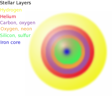 Stellar layers. A small central iron core (drawn in blue) is surrounded by a thick layer of silicon and sulfur (in green), thin layers of oxygen and neon (in orange), carbon and oxygen (purple), helium (red), and finally a thick layer of hydrogen (in yellow).