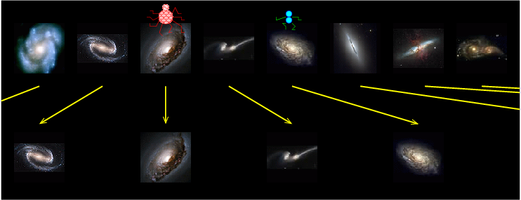 The top panel of the figure shows the same eight galaxies in a row, still with roughly equal amounts of space between them. The bottom panel shows the same row of galaxies, now spaced twice as far apart from each other. A small orange-red eight-legged figure is shown next to the third galaxy in the row, indicating that this is a friendly alien astronomer living in another galaxy. (The blue-green figure is still located next to the fifth galaxy.) This other galaxy is now shown at the same horizontal position in both panels, as it is the new reference position where the new observer is located. Because the other galaxies are now much more spaced out, the ones furthest to the left and right again fall off of the edges of the figure. The nearest neighbors to the alien's galaxy which were formerly one space away from them are now two spaces away (an increase of one space), the next set, including the Milky Way galaxy, have moved from two spaces away to four (an increase of two), the next set have moved from three spaces away to six (an increase of three), and so on.