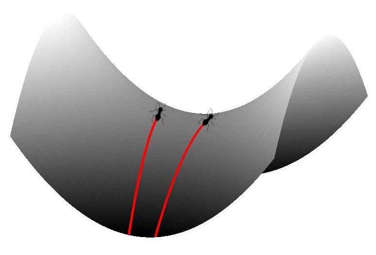 A saddle shape represents a negatively curved surface. Two black ants march along it, and two red lines trail behind them showing their previous positions. If the saddle was akin to a valley, slowly increasing in height as it was pulled upwards by two surrounding peaks, we would say that the two ants started marching far from the peaks in a flat plane and their path sloped upwards as they ascended through the valley. Because the height of the valley increases as it winds between the peaks, the positions of the two ants appear to diverge along their path.