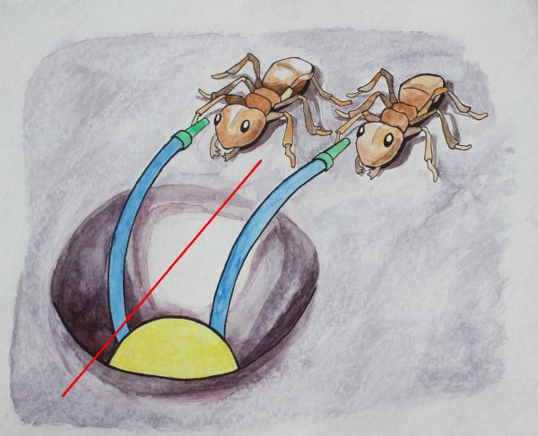 Drawing of two brave explorer ants, created by our resident artist Stephanie Smith. Two curious brown ants march along a flat plane, each carrying a green flashlight. The light from the flashlights is emitted as a straight beam of blue light, but as it approaches a deep depression (a hole in the plane, with a bright yellow sphere at the bottom) it curves to match the curving of the flat planar surface into the hole. A straight red line is shown next to the flashlight beams to emphasize the fact that they start out straight but then bend into the hole.