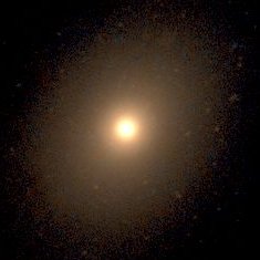 Telescope image of elliptical galaxy NGC 4636, showing the characteristic bright central core surrounded by a spherical distribution of stars, all with golden colors.