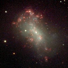 Telescope image of NGC 4449, showing a diffuse white cloud of light, and numerous patches of bright red and white congregating towards the outer portions of the cloud.
