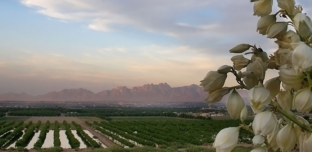 West Mesa
